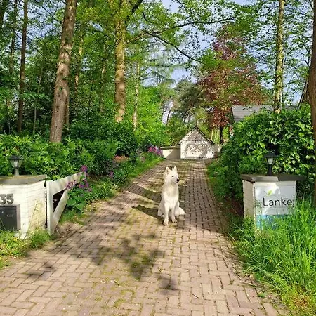 Lanke Garden Rijsbergen
