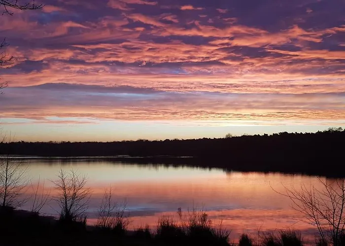 Lanke Garden Lägenhet Rijsbergen