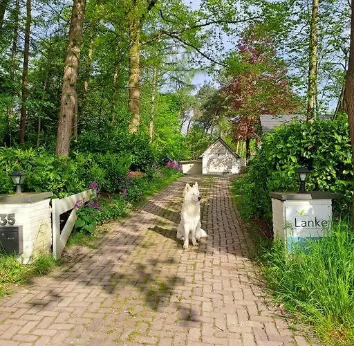 Lanke Garden Rijsbergen