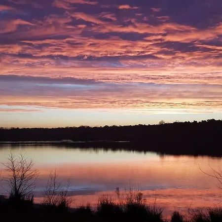 Lanke Garden Apartment Rijsbergen